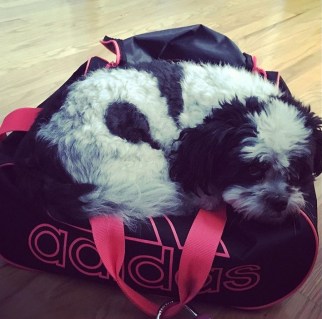 FullSizeRender 6.jpg