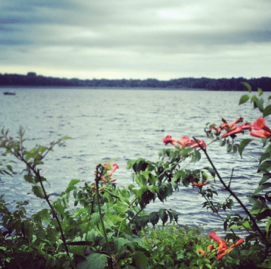 Screenshot 2016-05-10 10.17.29.png