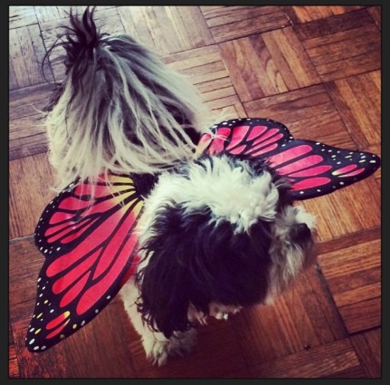 FullSizeRender 14.jpg